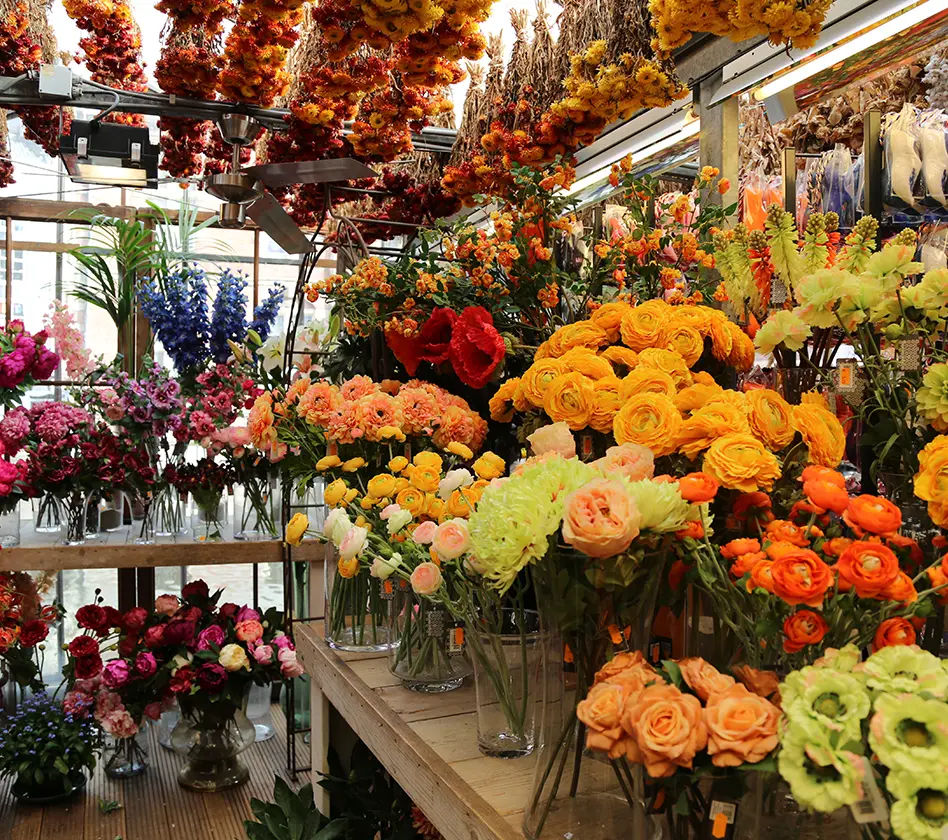 A vibrant flower shop with orange, pink, and yellow blooms in vases.